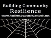 Resilience Program Logo